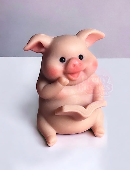 Realistic Sitting 5.5cm Silicone Piglet Reborn Doll